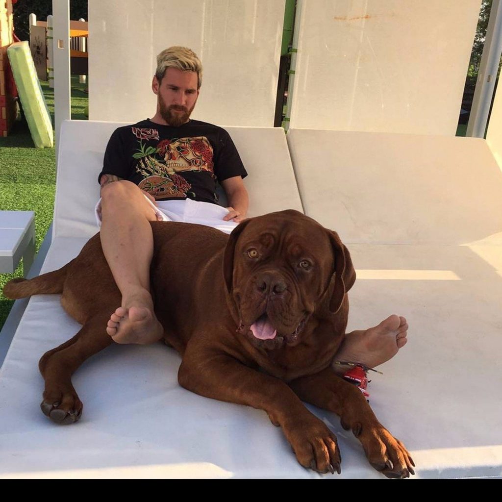 Lionel Messi Dog Pictures 2 – newstavka.com